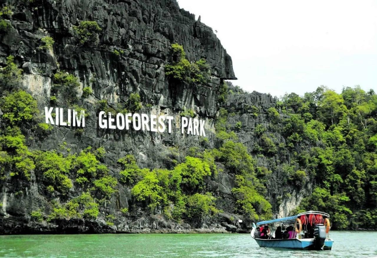 Jelajahi Ekosistem Langkawi yang Menakjubkan dengan Mangrove Tour Langkawi